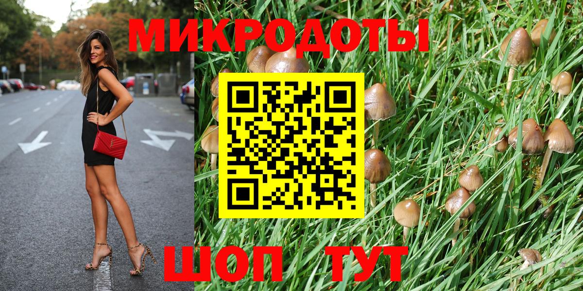 Псилоцибиновые грибы GOLDEN TEACHER Дзержинск