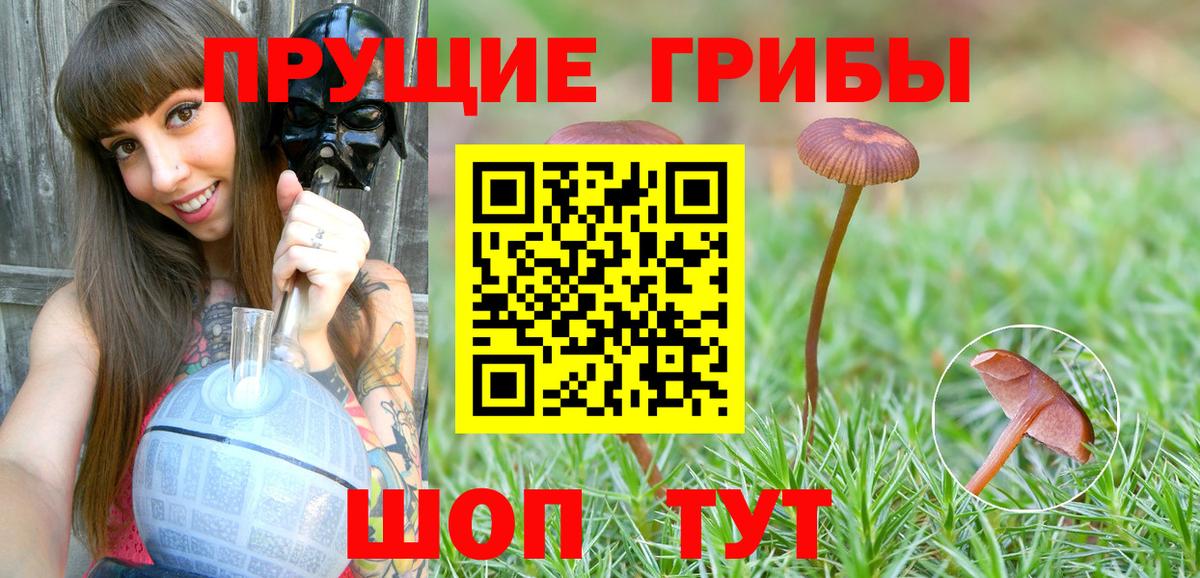 Галлюциногенные грибы ЛСД  где купить наркоту  Вход с VPN  Дзержинск  Псилоцибиновые грибы мухоморы 