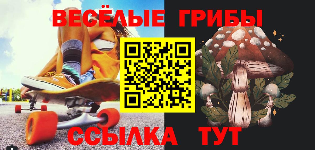 Псилоцибиновые грибы Psilocybe Дзержинск